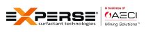 New-Experse-Logo_H_HR